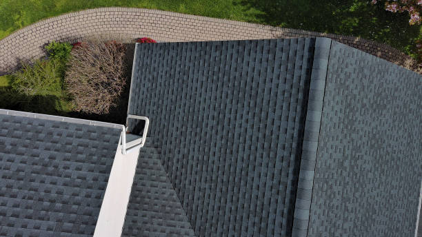 Best Roof Moss and Algae Removal  in Princeton, MO