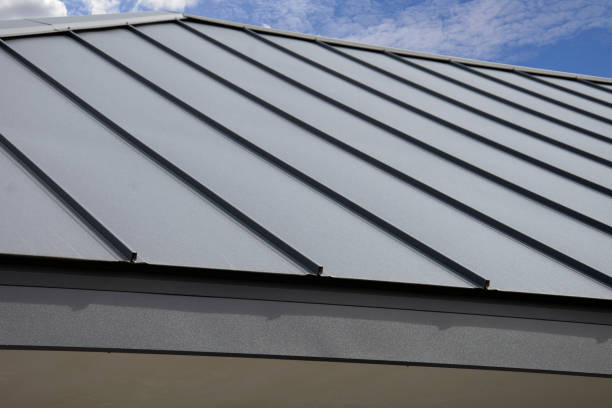 Best Storm Damage Roof Repair  in Princeton, MO