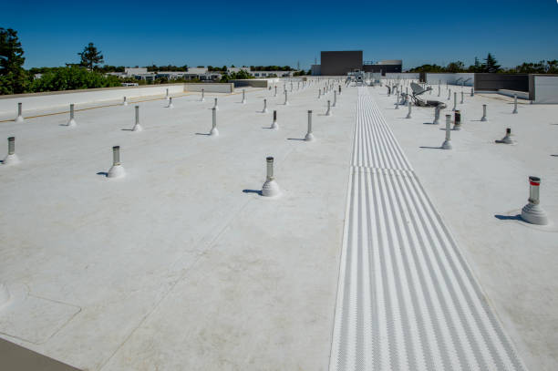 Best Roof Coating Services  in Princeton, MO